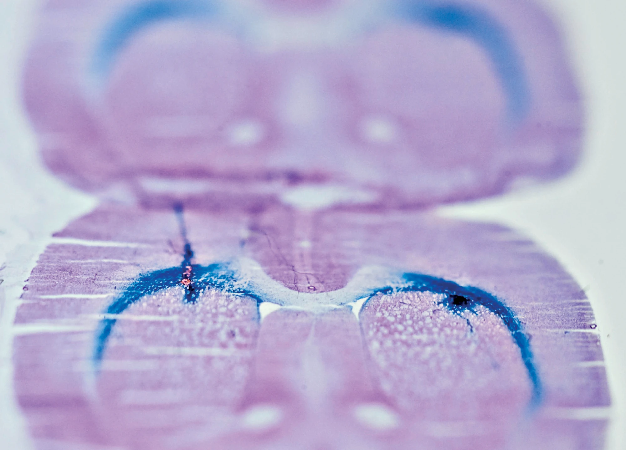 Close-up van laboratoriummateriaal